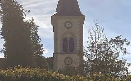 Cocon en lisière de forêt