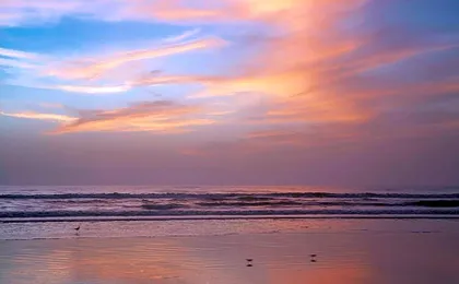 Best Western New Smyrna Beach Hotel and Suites