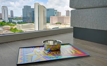 Holiday Inn Express Houston Galleria Area By IHG