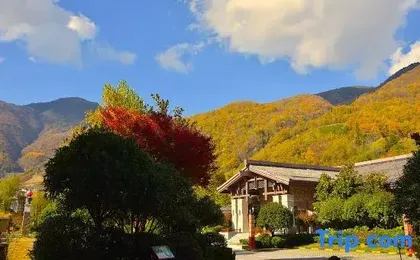 Arcadia International Forest Hotel