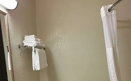 Quality Suites Altavista - Lynchburg South