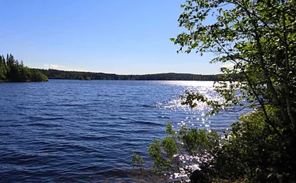 Résidence touristique Lodge des Bois