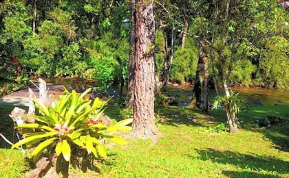Pousada Bosque do Visconde