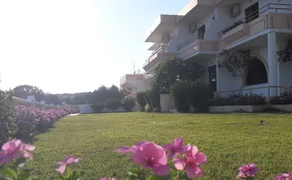 Vera Studios