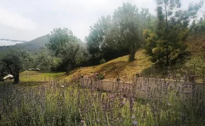 L'Opuntia sul lago