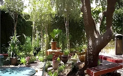 Hotel AVA Laredo