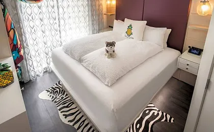 Staypineapple, An Artful Hotel, Midtown