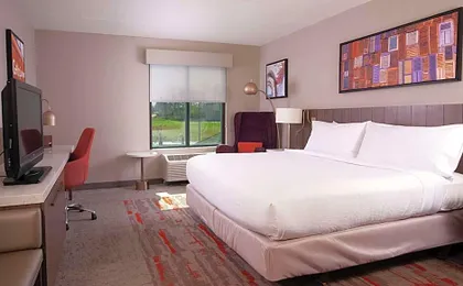Hilton Garden Inn Atlanta Airport/Millennium Center