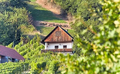 Weinberg Lodge - Kellerstöckl