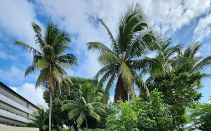 Pousada Beach Garden