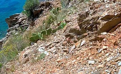 Kyriad ECO - Perpignan Nord Aéroport