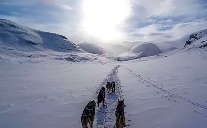 Résidence La Daille - Val-d'Isère
