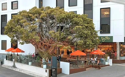 Rydges Fortitude Valley