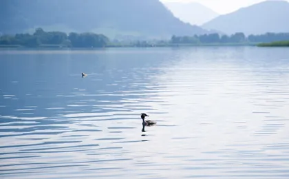 Feriendorf Maltschacher See