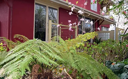 Amble at Hahndorf