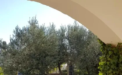 Casa Lavanda