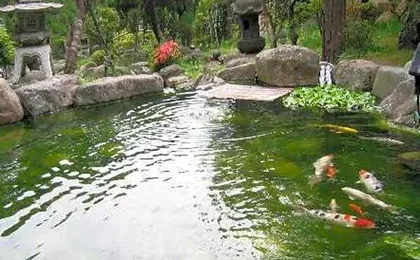 Ryokan Ichinomatsu