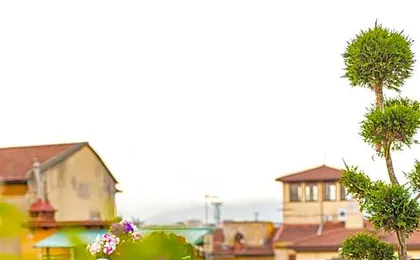 Hotel Annabella Roof Terrace