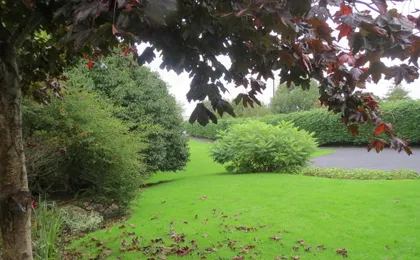 Abbey View