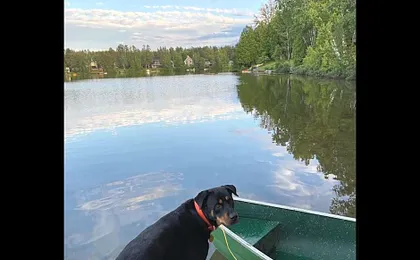 Gite du Lac Docteur