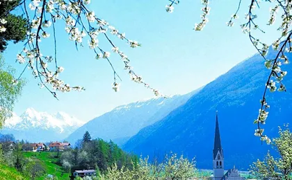 Hotel-Garni Stern - bed & breakfast & more