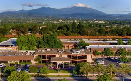 RED LION REDDING