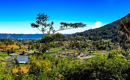 Alam Bali Lake View