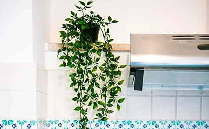 Casa Gilda Positano