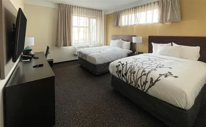 Guest room with queen bed(s)