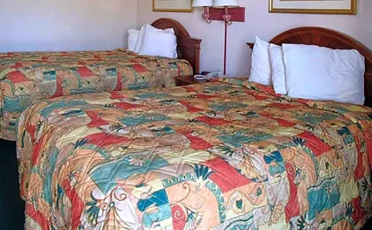 Rodeway Inn Leesburg Chain of Lakes