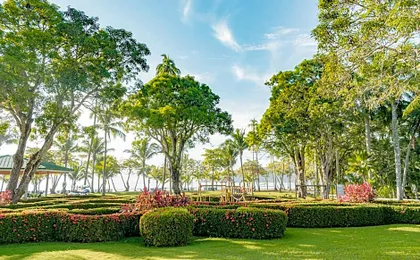 Barcelo Tambor- All Inclusive