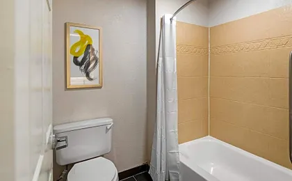 Comfort Inn & Suites Savannah Airport
