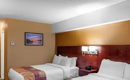 Quality Hotel & Suites