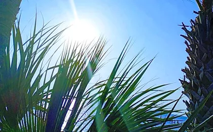 Quality Inn & Suites Gulf Breeze Bayside near Pensacola Beach