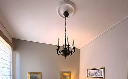 Domus Felix