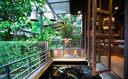 Gord Chiangmai