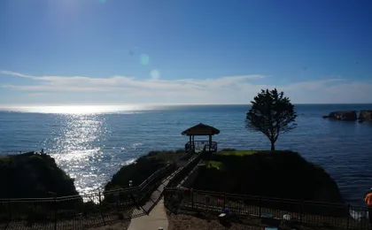 Inn At The Cove