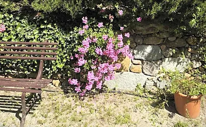 Villa Salvarezza