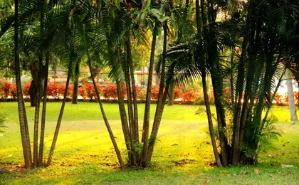 VGP Golden Beach Resort