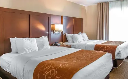 Comfort Suites Wixom - Novi