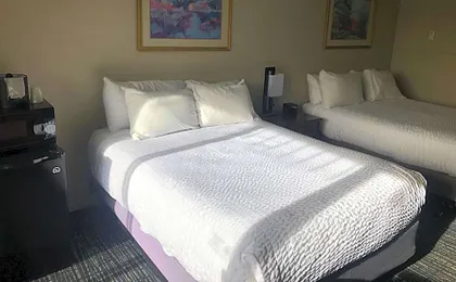 Satellite Hotel