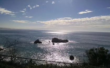 Inn At The Cove