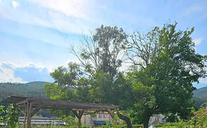 Divina Apartments