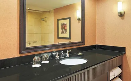 Sheraton Lisle Naperville Hotel