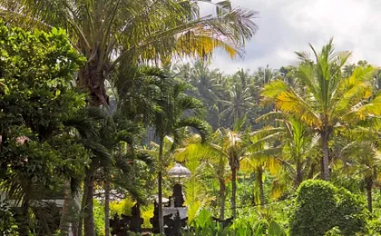 Jasri Dalem Surf Retreat
