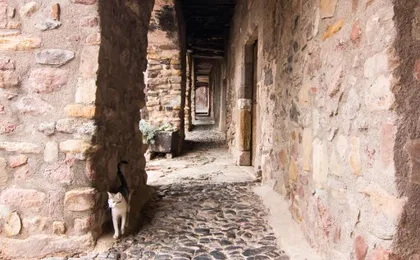 Casa Parramon
