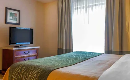 Comfort Inn & Suites South Burlington near University