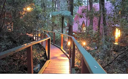 The Mouses House Rainforest Retreat