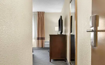 Comfort Inn Detroit Downtown