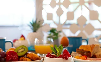 Kyriad Hotel Lyon Givors